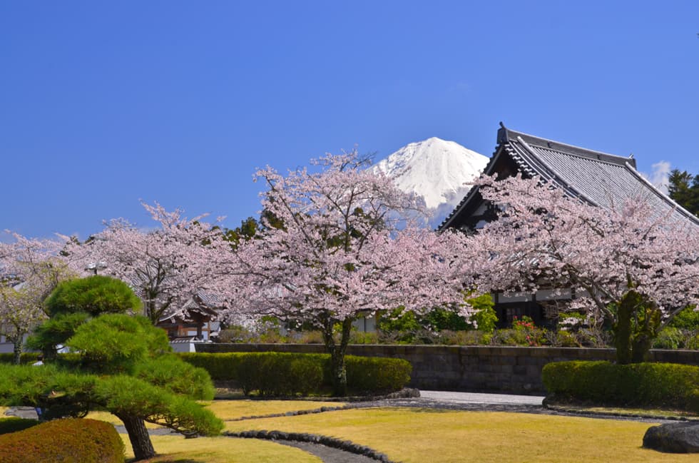 大石寺