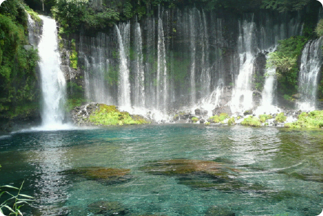 静岡県立美術館